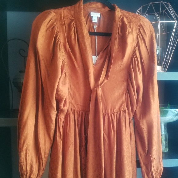 NWT A New Day rust babydoll dress - Picture 6 of 8